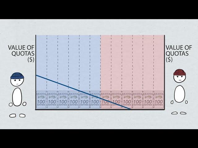 Fisheries Economics & Policy: Individual and Transferable Quotas