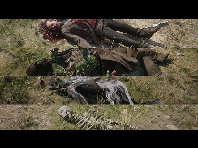 RDR2 The whole process of corpse decay