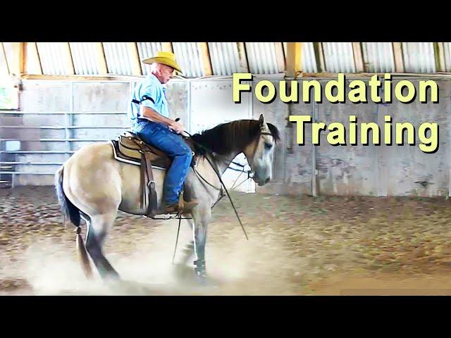 Horse Training For A Solid Foundation - Western Riding, Reining & Cutting Horse Training.