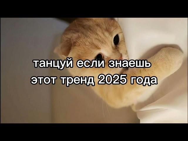 танцуй если знаешь этот тренд 2025 года 