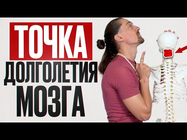 УЛУЧШИТЕ ПАМЯТЬ на 250% ЗА 1 ДВИЖЕНИЕ ПАЛЬЦЕМ! / Как продлить работу мозга до 110 лет?