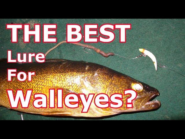 The Best Walleye Lure That You're NOT Using