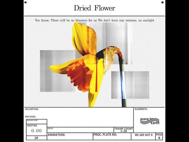 Wave to Earth - dried flower [Visualiser]