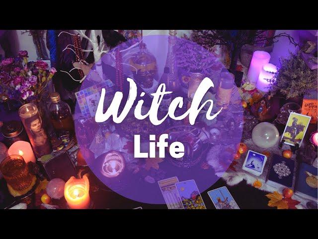 Tis MAGIC Season! || Altars, Witch Books, Tarot, Cats