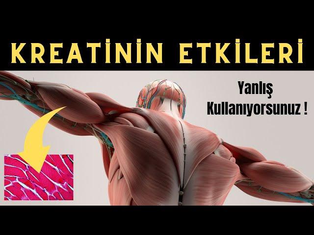 What Happens to Our Daily Use of Creatine? | BENEFITS AND DAMAGES