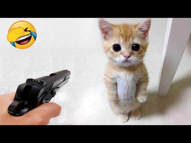 Try not to laugh with these funniest animals 