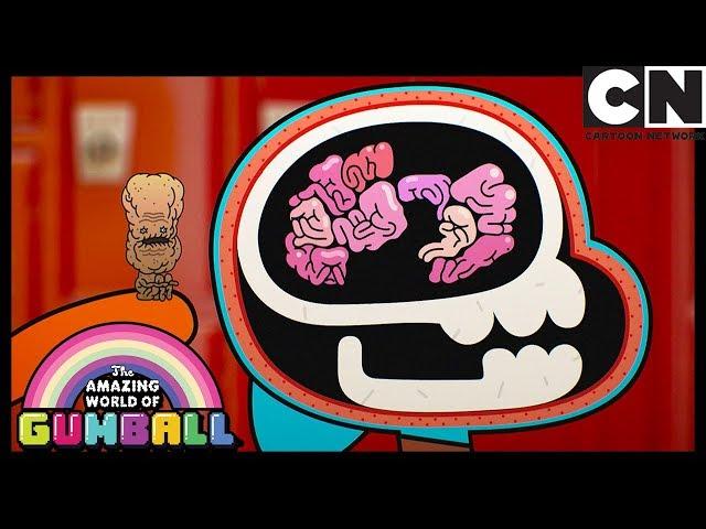 El Increíble Mundo de Gumball en Español Latino | El Fraude | Cartoon Network