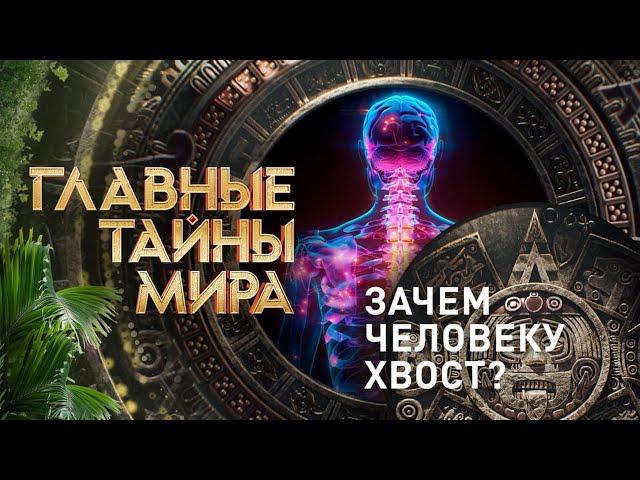 Зачем человеку хвост — Главные тайны мира (23.08.2024)