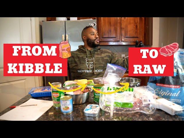 How to Transition from Kibble to Raw Diet (Step by Step)