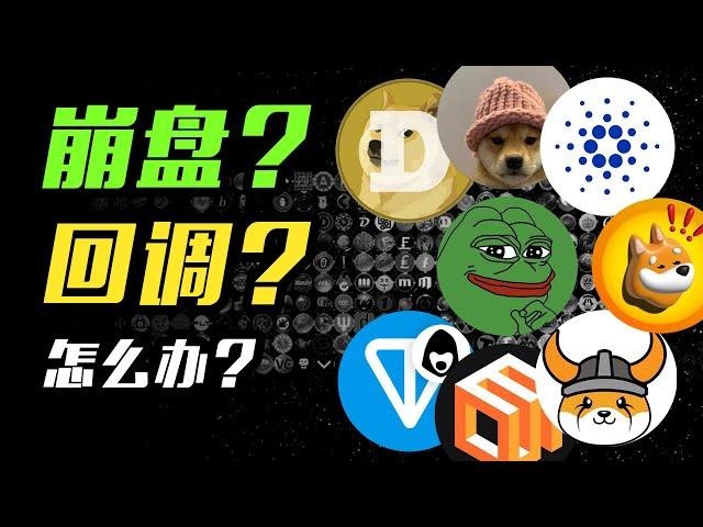 BTC要跌？山寨币崩了？SUI | WIF | BONK | LTC | FLOKI | DOGE | EOS | LINK | PEPE | SHIB | 加密货币