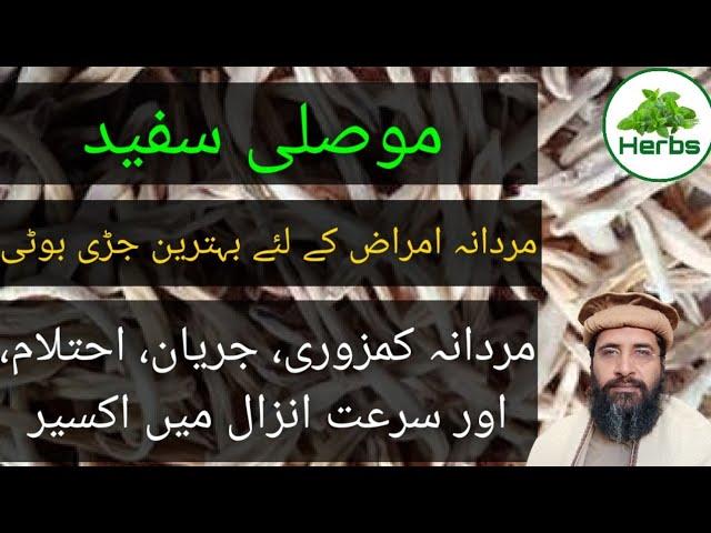 Health Benefits of Mosli Sufaid Urdu/Hindi | Mosli Sufaid ke fayde | Hakeem Zia ur Rehman