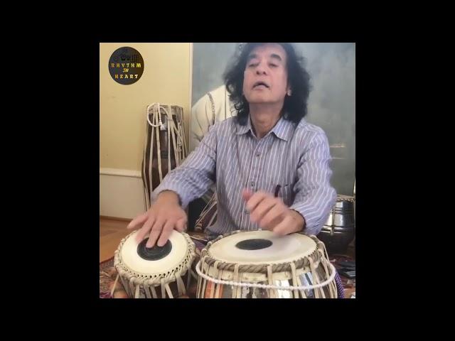 Ustad Zakir Hussain...#Tabla #shorts