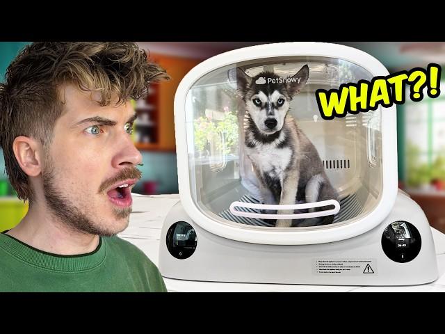 Putting My Puppies In A Futuristic Dryer Box!