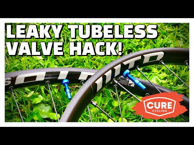 Valve Stem Leaking Air? TRY THIS!