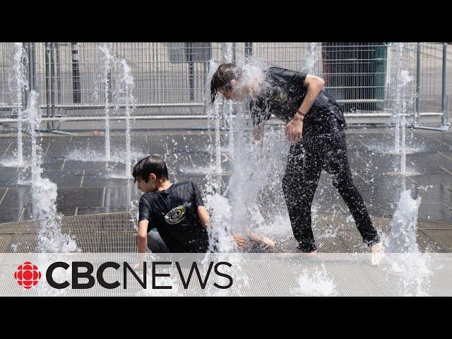 Mortalities spike in heat waves. Here’s how to protect yourself