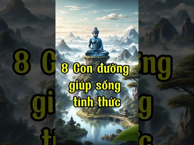 8 con đường giúp bạn tỉnh thức #trietlysong