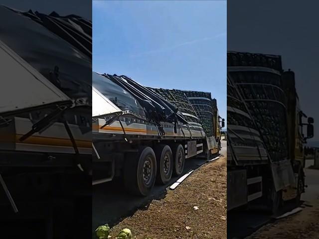 Overloaded or Bad Turn? Cabbage Everywhere!  #automobile #lkw #camion #bigrig #truckdriver #job