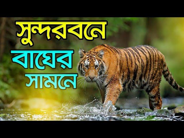 সুন্দরবনে  ভয়াবহ অভিজ্ঞতা  । World's Largest Mangrove Forest । Sundarban Bangladesh