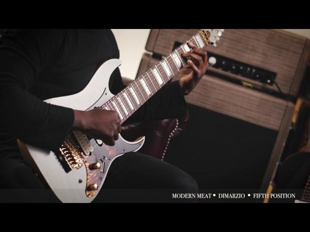 Tosin Abasi's Fishman Fluence Signature Pickup Shootout [4K]