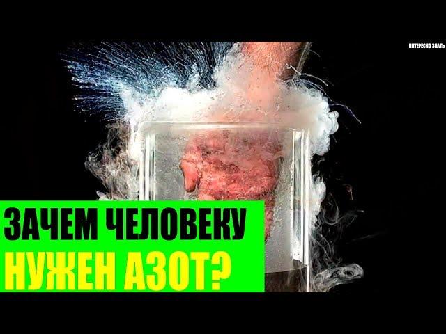 Зачем человеку так нужен азот?