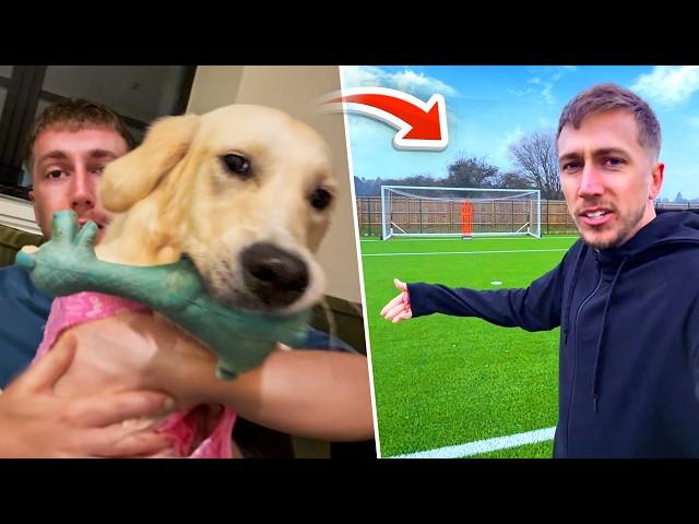 DAY IN THE LIFE OF MINIMINTER!