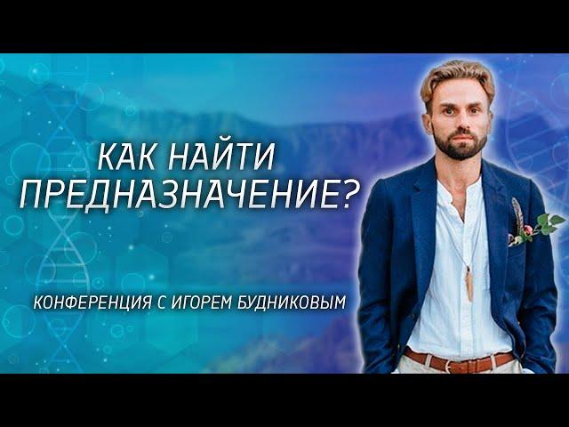 Как найти свое Предназначение? Игорь Будников о своем пути: "я перепробовал все от ДМТ до молитвы"