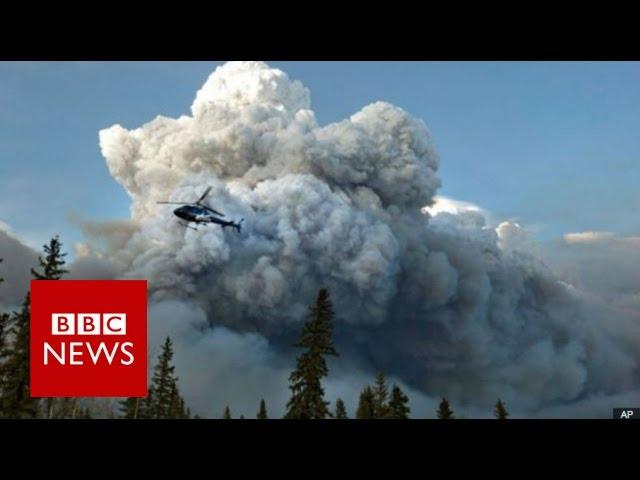 Alberta wildfire: Emergency declared in Fort McMurray - BBC News