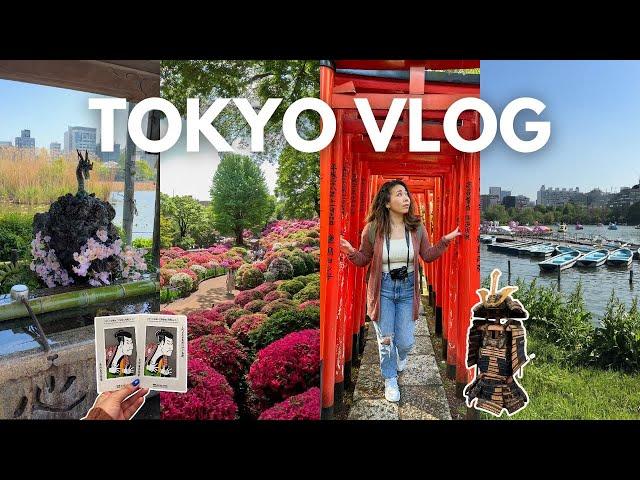 1-Day Tokyo Itinerary | Nezu Shrine Torii Gates & Azalea Garden, Ueno Park & Tokyo National Museum