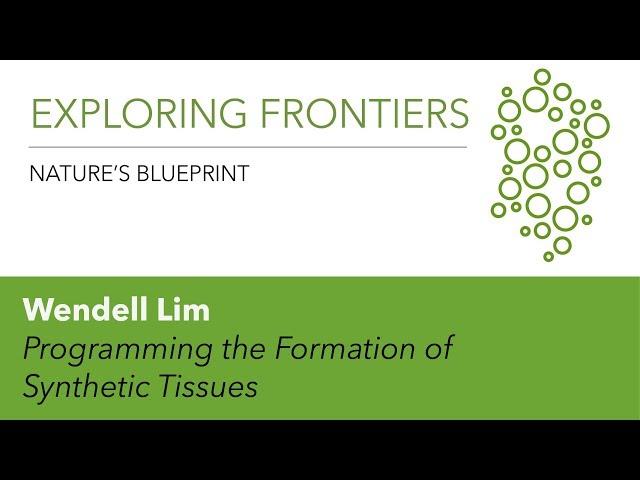 Wendell Lim | Programming the Formation of Synthetic Tissues