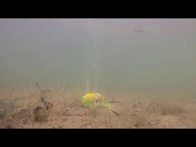 Korda Goo power smoke under water footage