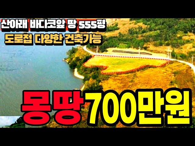 도로접한 바다 코앞 땅 555평이 단돈 700만원~~산과 바다가 만나는 그림같은 경치~