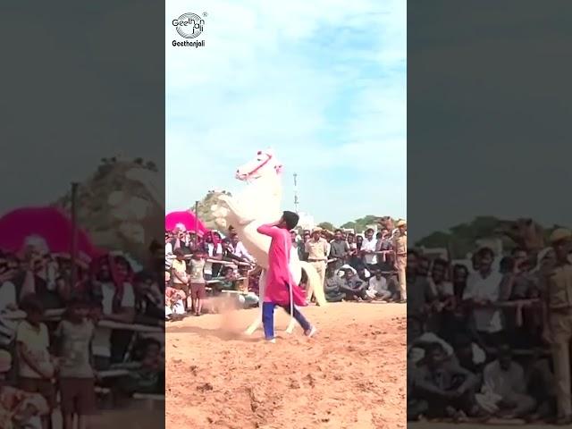 Horse Dancing Competition with Music at the Pushkar Cattle Fair, Rajasthan - #shorts.