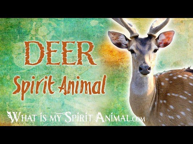 Deer Spirit Animal | Deer Totem & Power Animal | Deer Symbolism & Meanings