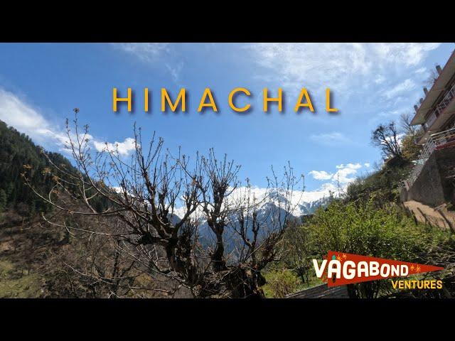 Returning from Tosh | Gems of Himachal Pradesh | #vagabondventures12 | 4K60 | Travel Video