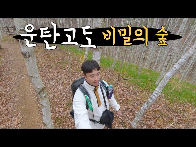 겨울이 기대되는 17km 내림길 트레킹［운탄고도 6길］