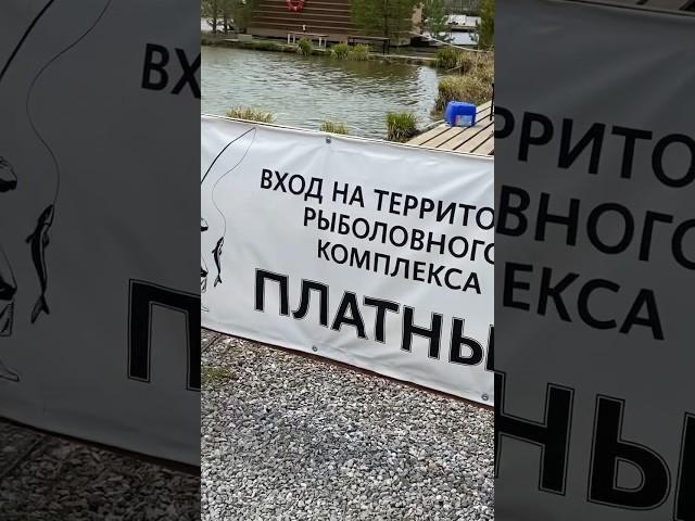 ФишПарк г.Тюмень #shorts #travel #music #рыбалкавидео
