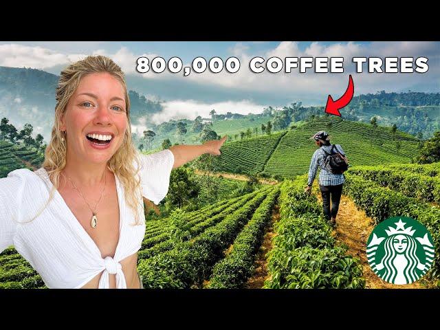 Inside Starbucks ONLY Coffee Farm  | Hacienda Alsacia