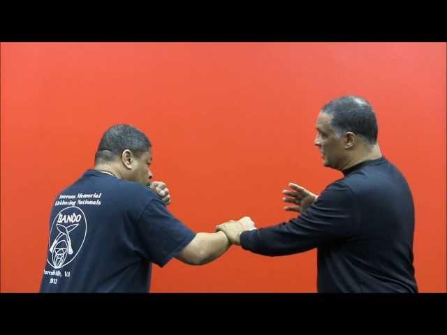 Bando King Cobra Coiling Punch Knockout