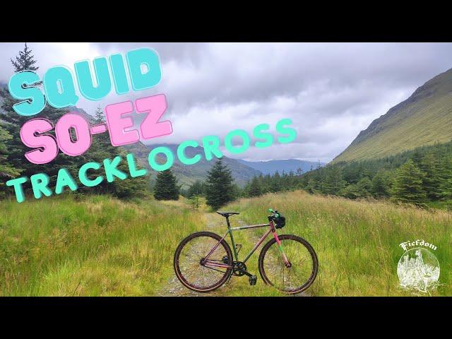 A Quick Look at my Squid SO-EZ Tracklocross Bike