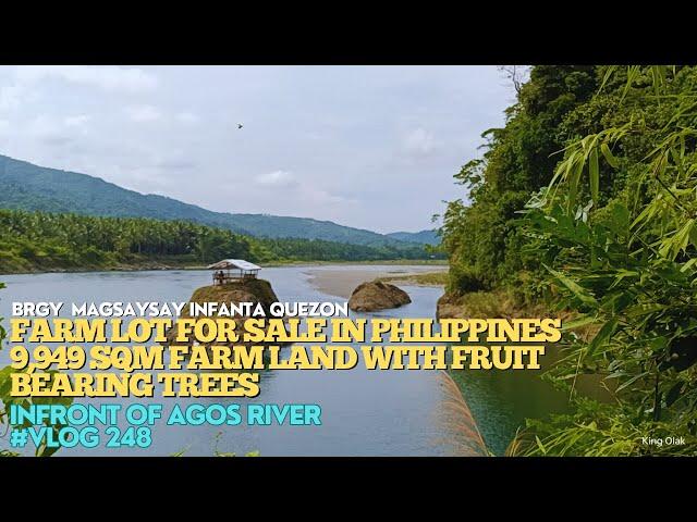 #vlog248 FARM LOT FOR SALE  - 9,949 SQM - 400 PESOS PER SQM LOTS OF FRUIT BEARING TREES - AGOS RIVER