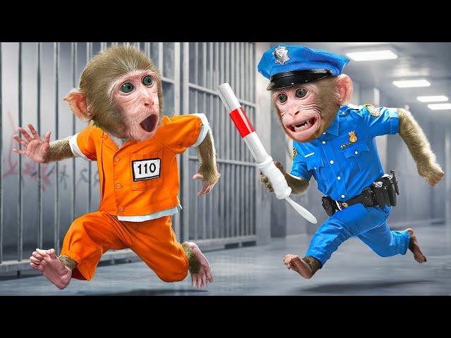 KiKi Monkey catch thief to do mission & escape Impossible Prison Maze challenge | KUDO ANIMAL KIKI