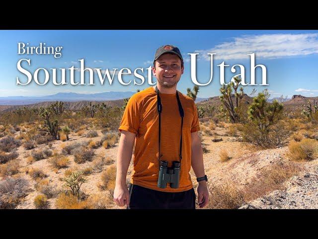 Birding Throughout Southwest Utah for the First Time