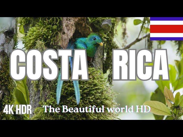 Costa Rica Adventures: Nature at Its Best! Relaxing music 4k video