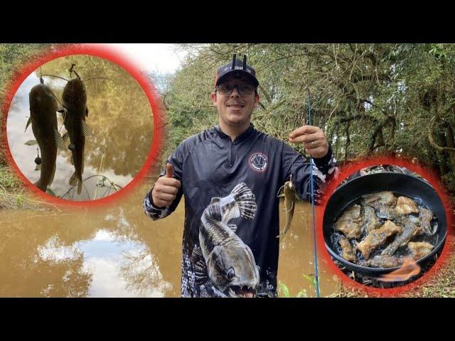 Pescaria de JUNDIA rendeu peixe FRITO na beira do Rio.  #pescaria