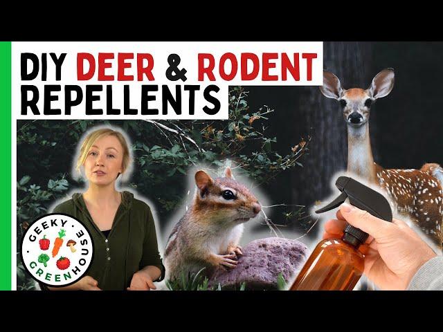 Deterring Rodents and Deer in the Garden (Naturally) - Geeky Greenhouse
