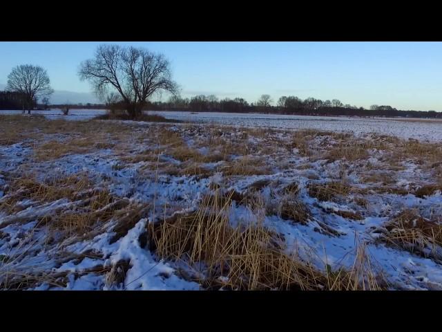 Winter an der Hunte, 15.01.2017