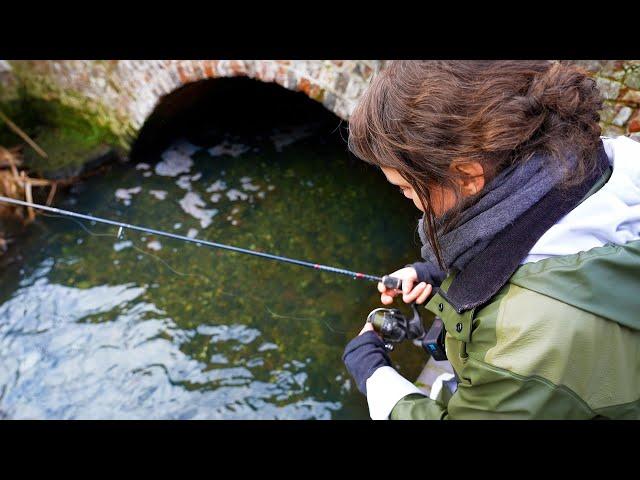 Exploring Small Streams - Multi Species Fishing!