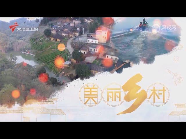 我爱返寻味,湛江廉江特色美食【我爱返寻味2024】