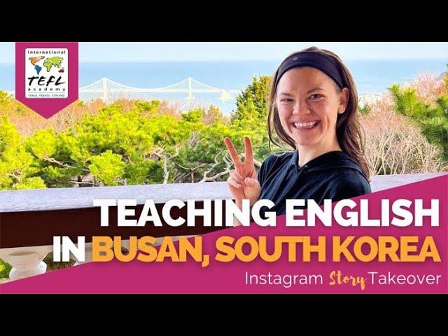 Day in the Life Teaching English in Busan, South Korea with Lexie Polk