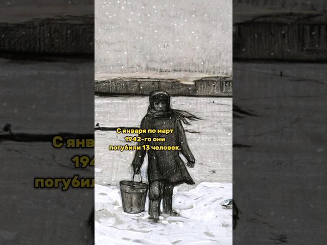 Как вычисляли людоедов в блокадном Ленинграде? #shorts #история #ссср